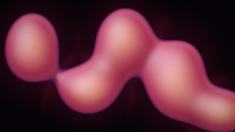 Soft rose lava shapes drifting on a dark background.